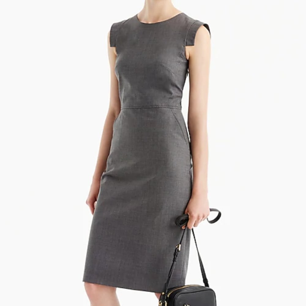 JCrew Resume Dress